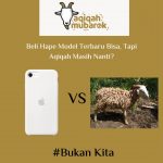 Harga Domba Untuk Aqiqah Semarang