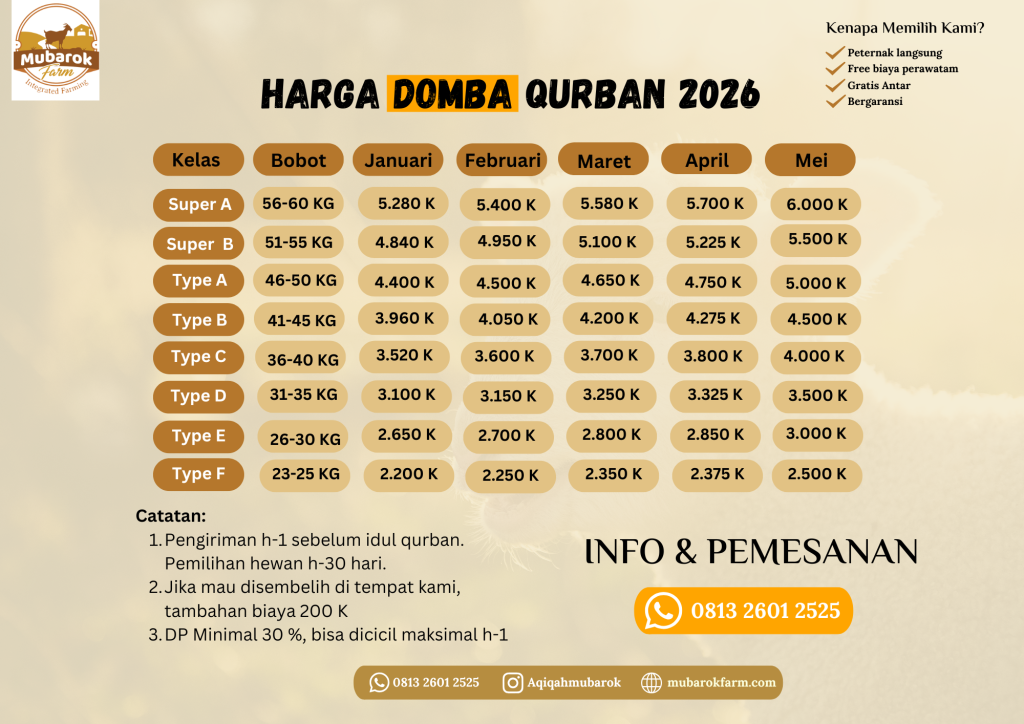 Jual Domba qurban semarang 2026
