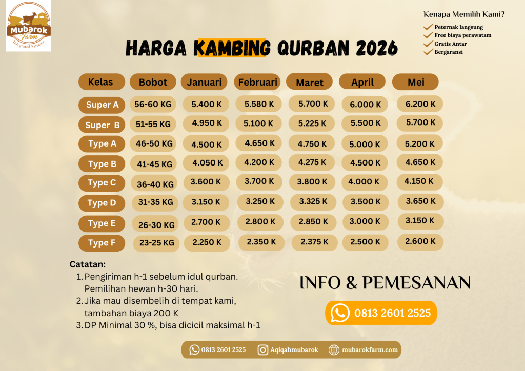 JUal Kambing Qurban semarang 2026