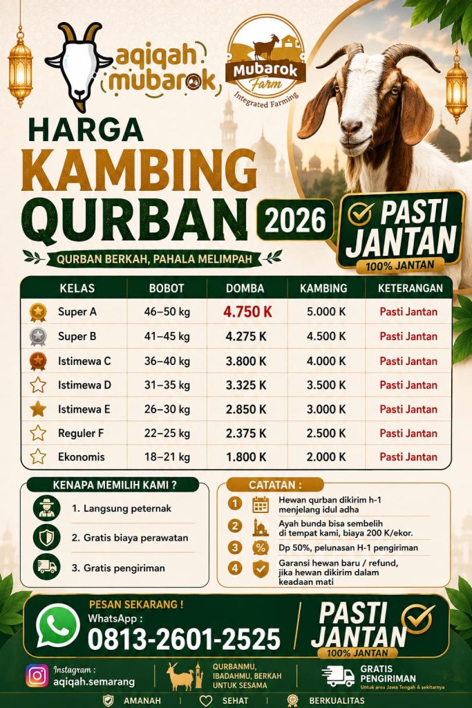 jual kambing qurban semarang